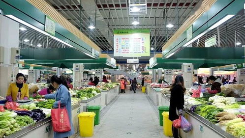 路橋食光 共享美味，打造農產品批發新生態